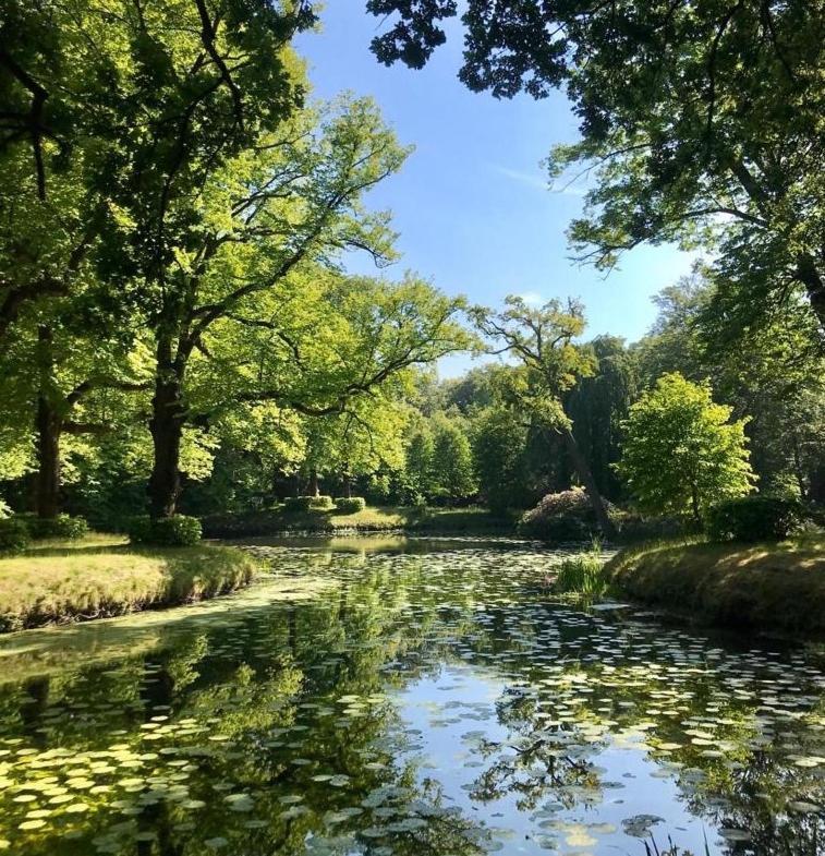 Eco Hotel Plantage Rococo Velsen-Zuid Dış mekan fotoğraf